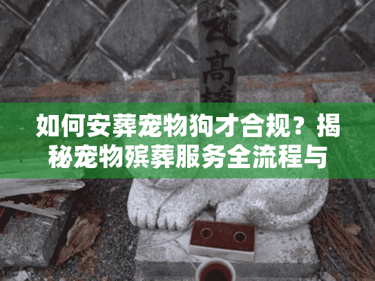 如何安葬宠物狗才合规？揭秘宠物殡葬服务全流程与告别仪式