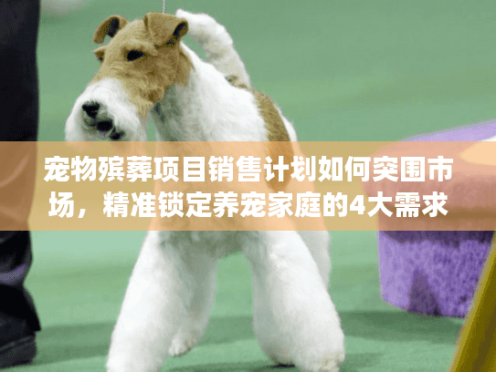 宠物殡葬项目销售计划如何突围市场，精准锁定养宠家庭的4大需求点