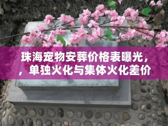 珠海宠物安葬价格表曝光,,单独火化与集体火化差价惊人 珠海宠物安葬价格表曝光,,单独火化与集体火化差价惊人