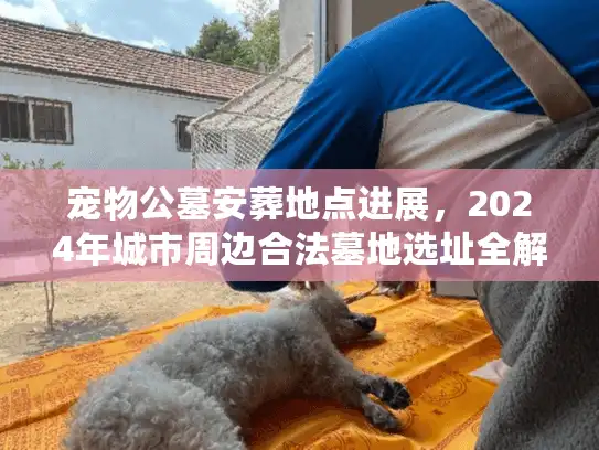 宠物公墓安葬地点进展，2024年城市周边合法墓地选址全解析