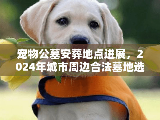 宠物公墓安葬地点进展，2024年城市周边合法墓地选址全解析