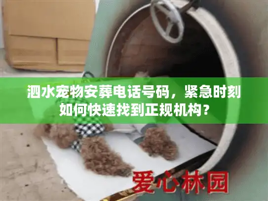 泗水宠物安葬电话号码，紧急时刻如何快速找到正规机构？