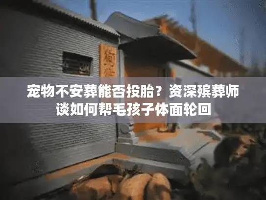 宠物不安葬能否投胎？资深殡葬师谈如何帮毛孩子体面轮回