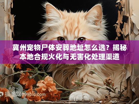 冀州宠物尸体安葬地址怎么选？揭秘本地合规火化与无害化处理渠道