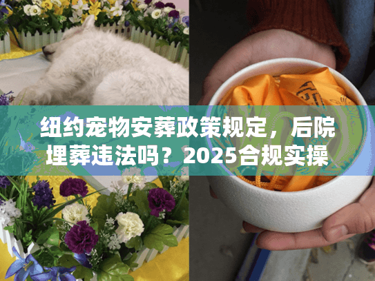 纽约宠物安葬政策规定，后院埋葬违法吗？2025合规实操