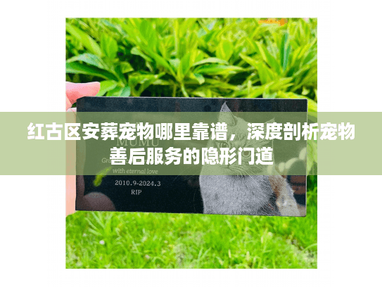 红古区安葬宠物哪里靠谱，深度剖析宠物善后服务的隐形门道