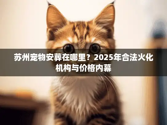 苏州宠物安葬在哪里?2025年合法火化机构与价格内幕 苏州宠物安葬在哪里?2025年合法火化机构与价格内幕