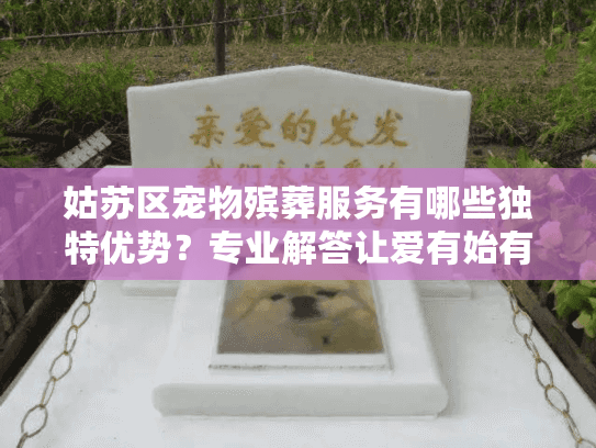 姑苏区宠物殡葬服务有哪些独特优势？专业解答让爱有始有终