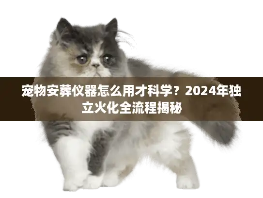 宠物安葬仪器怎么用才科学？2024年独立火化全流程揭秘