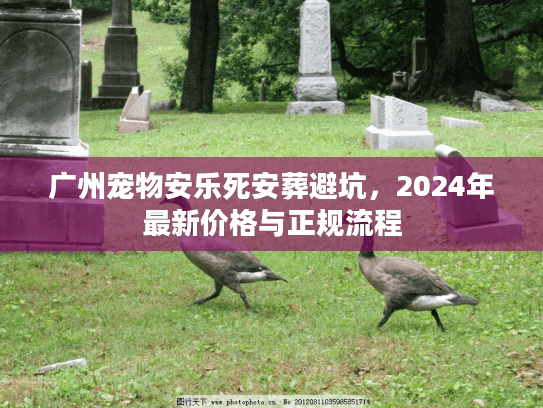 广州宠物安乐死安葬避坑，2024年最新价格与正规流程