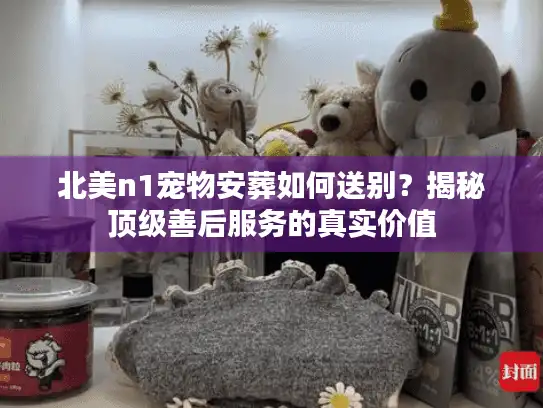 北美n1宠物安葬如何送别？揭秘顶级善后服务的真实价值