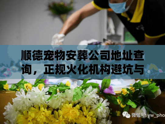 顺德宠物安葬公司地址查询，正规火化机构避坑与价格内幕