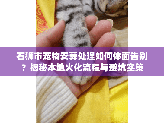 石狮市宠物安葬处理如何体面告别？揭秘本地火化流程与避坑实策