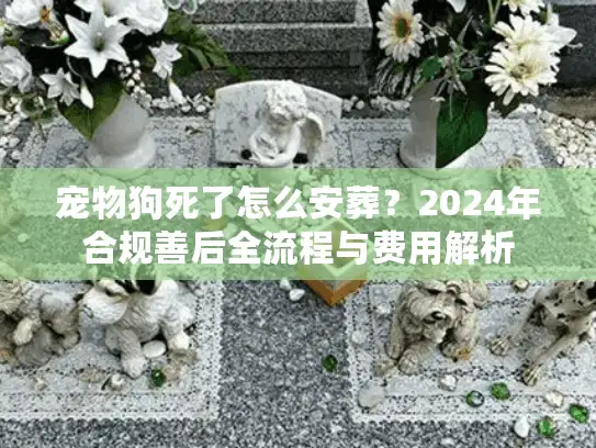 宠物狗死了怎么安葬？2024年合规善后全流程与费用解析