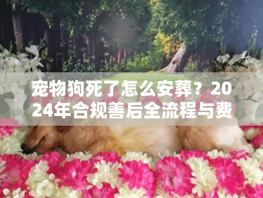 宠物狗死了怎么安葬？2024年合规善后全流程与费用解析