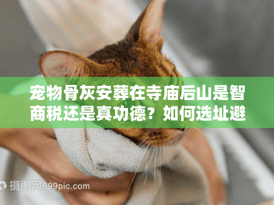 宠物骨灰安葬在寺庙后山是智商税还是真功德？如何选址避坑