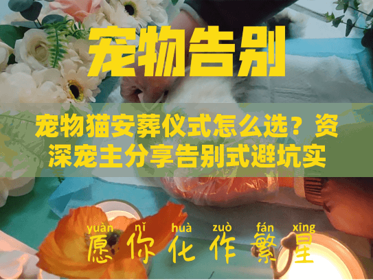 宠物猫安葬仪式怎么选?资深宠主分享告别式避坑实录 宠物猫安葬仪式怎么选?资深宠主分享告别式避坑实录