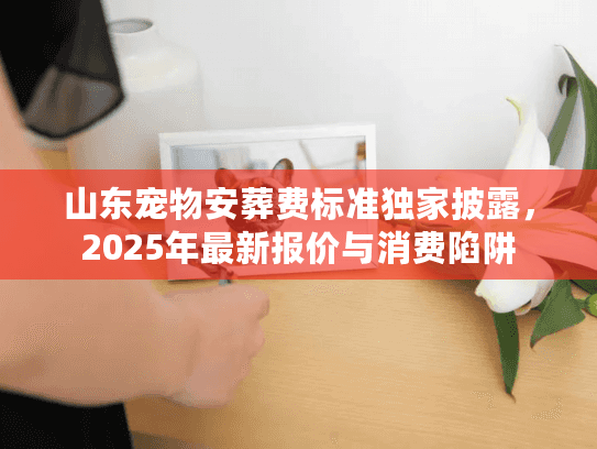 山东宠物安葬费标准独家披露，2025年最新报价与消费陷阱