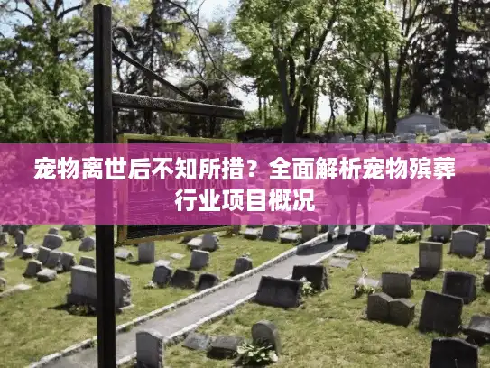 宠物离世后不知所措？全面解析宠物殡葬行业项目概况