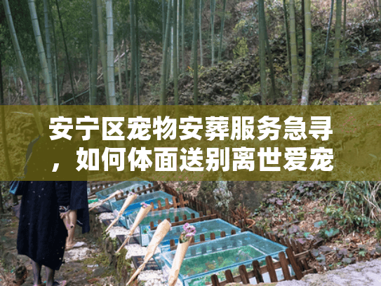 安宁区宠物安葬服务急寻，如何体面送别离世爱宠？