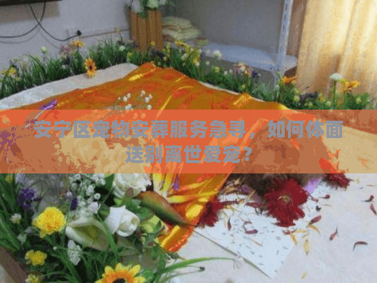 安宁区宠物安葬服务急寻，如何体面送别离世爱宠？