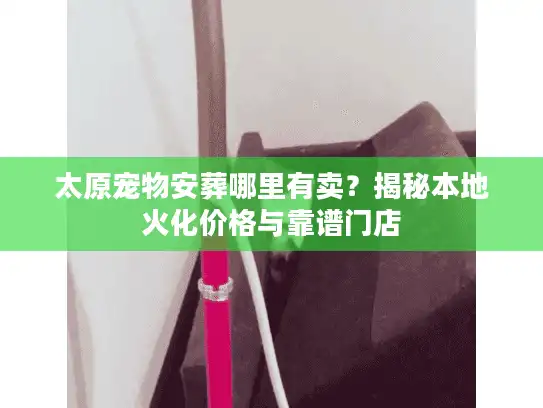 太原宠物安葬哪里有卖?揭秘本地火化价格与靠谱门店 太原宠物安葬哪里有卖?揭秘本地火化价格与靠谱门店