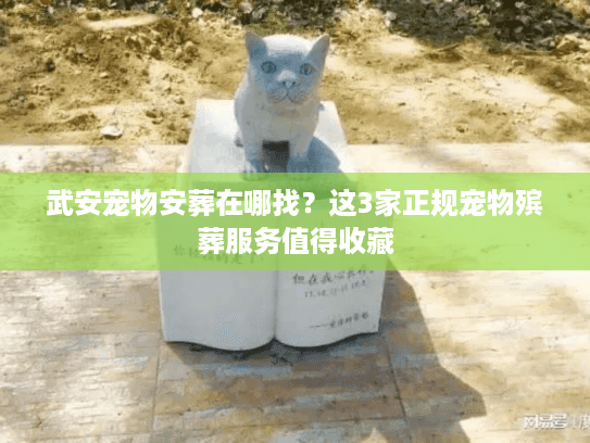 武安宠物安葬在哪找？这3家正规宠物殡葬服务值得收藏