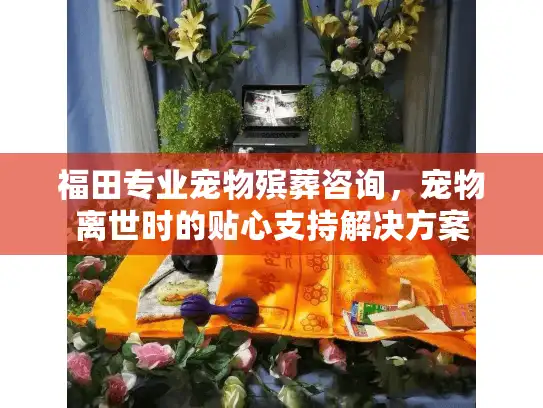 福田专业宠物殡葬咨询,宠物离世时的贴心支持解决方案 福田专业宠物殡葬咨询,宠物离世时的贴心支持解决方案