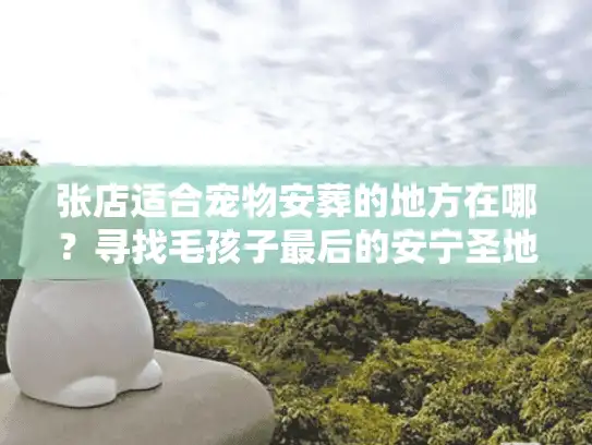 张店适合宠物安葬的地方在哪?寻找毛孩子最后的安宁圣地 张店适合宠物安葬的地方在哪?寻找毛孩子最后的安宁圣地