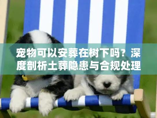 宠物可以安葬在树下吗?深度剖析土葬隐患与合规处理 宠物可以安葬在树下吗?深度剖析土葬隐患与合规处理