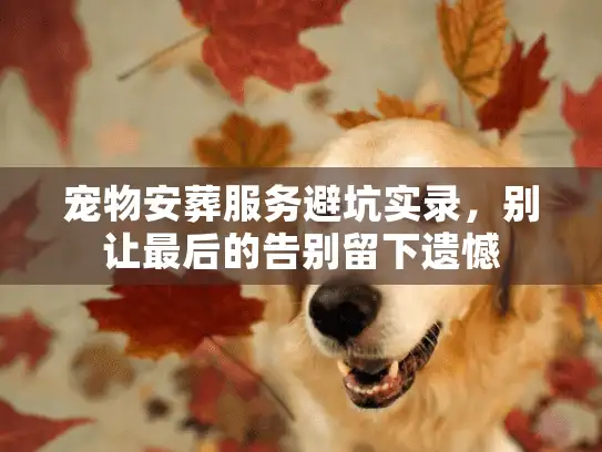 宠物安葬服务避坑实录，别让最后的告别留下遗憾