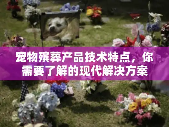 宠物殡葬产品技术特点,你需要了解的现代解决方案? 宠物殡葬产品技术特点,你需要了解的现代解决方案?