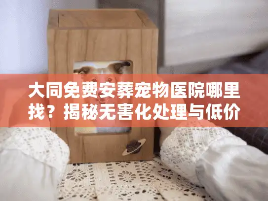 大同免费安葬宠物医院哪里找？揭秘无害化处理与低价火化内幕