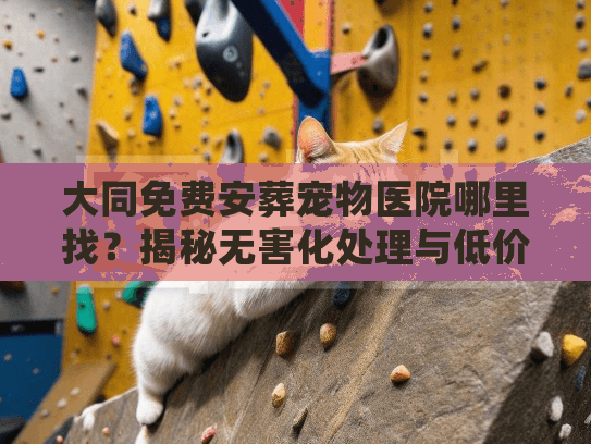 大同免费安葬宠物医院哪里找？揭秘无害化处理与低价火化内幕