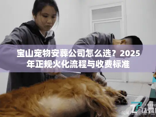 宝山宠物安葬公司怎么选？2025年正规火化流程与收费标准