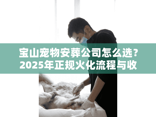 宝山宠物安葬公司怎么选？2025年正规火化流程与收费标准