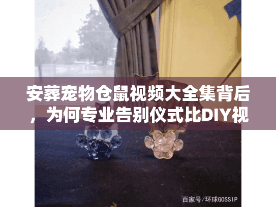 安葬宠物仓鼠视频大全集背后，为何专业告别仪式比DIY视频更抚慰人心