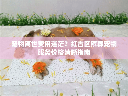 宠物离世费用迷茫？红古区殡葬宠物服务价格清晰指南