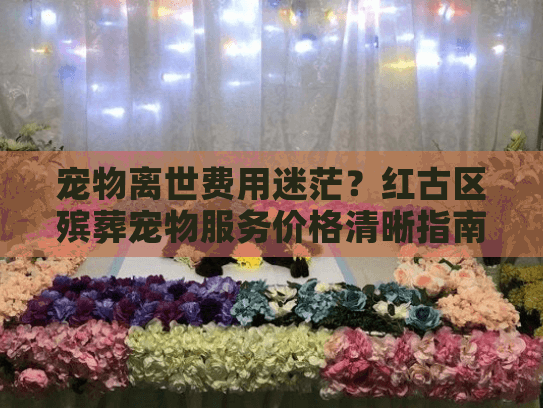 宠物离世费用迷茫？红古区殡葬宠物服务价格清晰指南