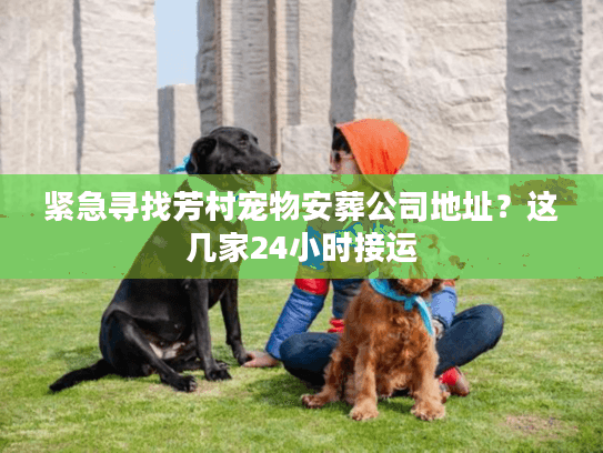 紧急寻找芳村宠物安葬公司地址?这几家24小时接运 紧急寻找芳村宠物安葬公司地址?这几家24小时接运