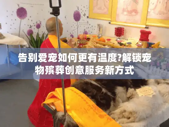 告别爱宠如何更有温度?解锁宠物殡葬创意服务新方式