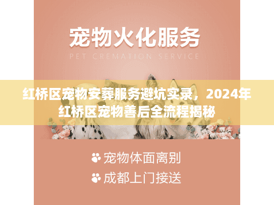 红桥区宠物安葬服务避坑实录,2024年红桥区宠物善后全流程揭秘 红桥区宠物安葬服务避坑实录,2024年红桥区宠物善后全流程揭秘