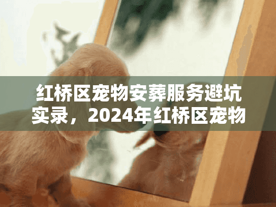 红桥区宠物安葬服务避坑实录,2024年红桥区宠物善后全流程揭秘 红桥区宠物安葬服务避坑实录,2024年红桥区宠物善后全流程揭秘