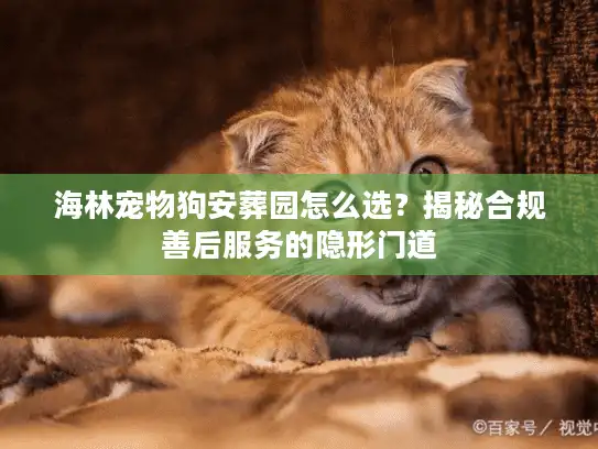 海林宠物狗安葬园怎么选？揭秘合规善后服务的隐形门道