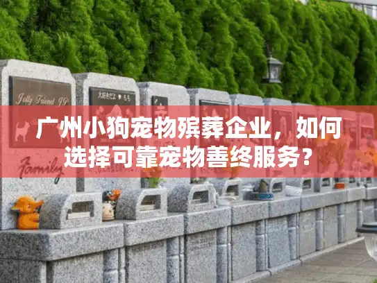 广州小狗宠物殡葬企业,如何选择可靠宠物善终服务? 广州小狗宠物殡葬企业,如何选择可靠宠物善终服务?