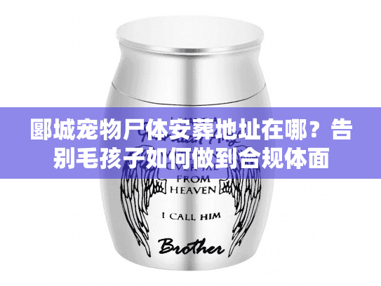 郾城宠物尸体安葬地址在哪？告别毛孩子如何做到合规体面