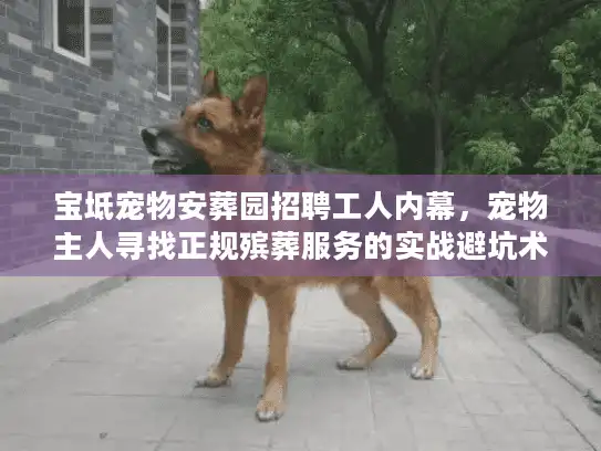 宝坻宠物安葬园招聘工人内幕，宠物主人寻找正规殡葬服务的实战避坑术
