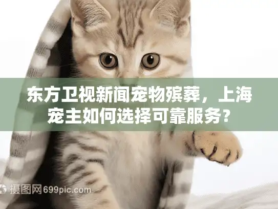 东方卫视新闻宠物殡葬，上海宠主如何选择可靠服务？