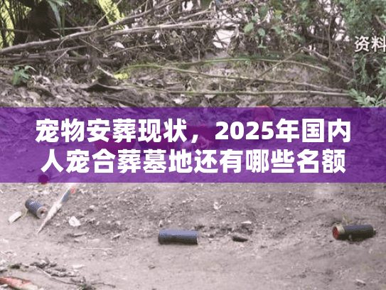 宠物安葬现状，2025年国内人宠合葬墓地还有哪些名额稀缺？