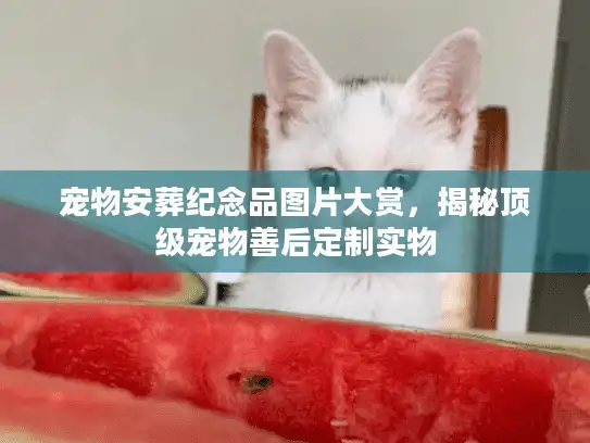 宠物安葬纪念品图片大赏，揭秘顶级宠物善后定制实物